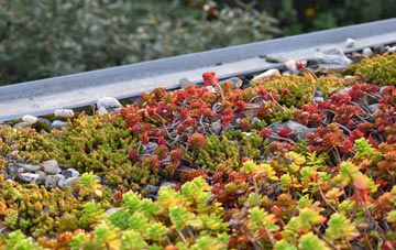 the cost of Hinton Martell green roof installation