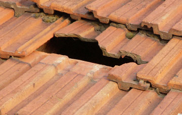 roof repair Hinton Martell, Dorset